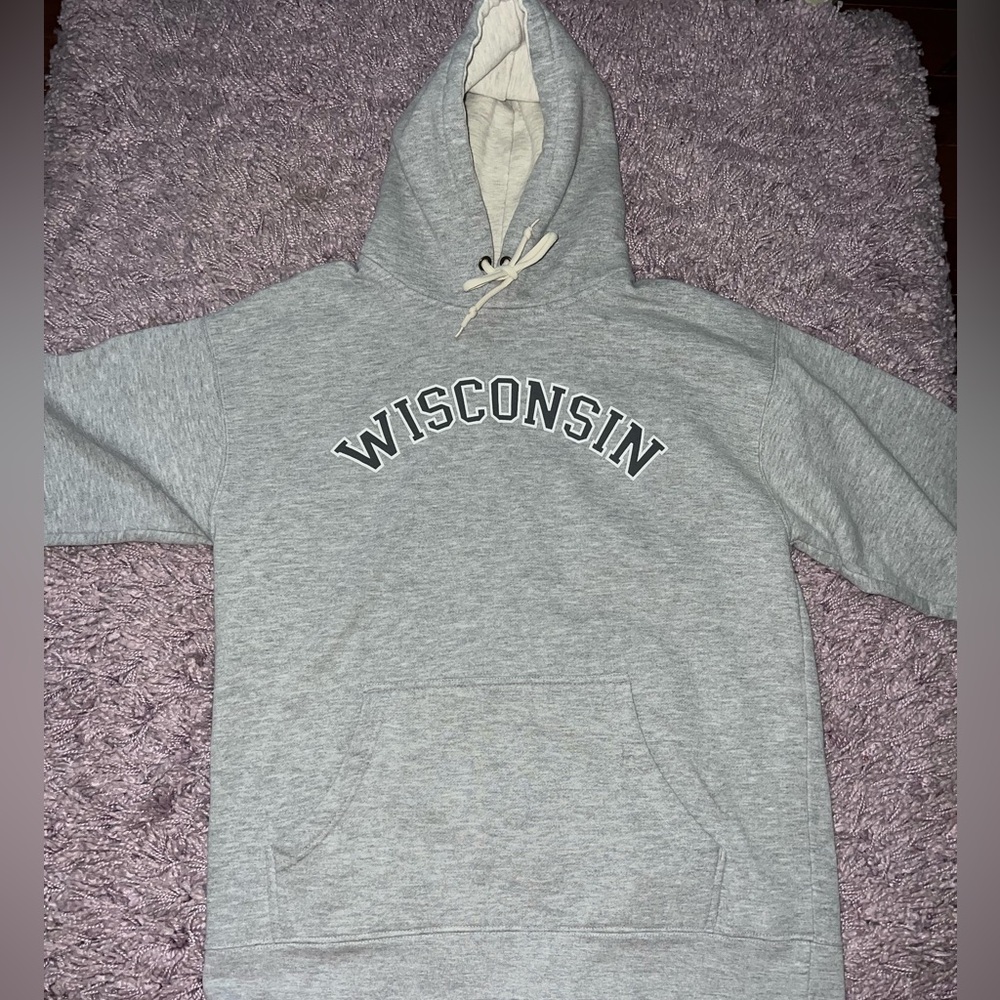 Grey Wisconsin Hoodie